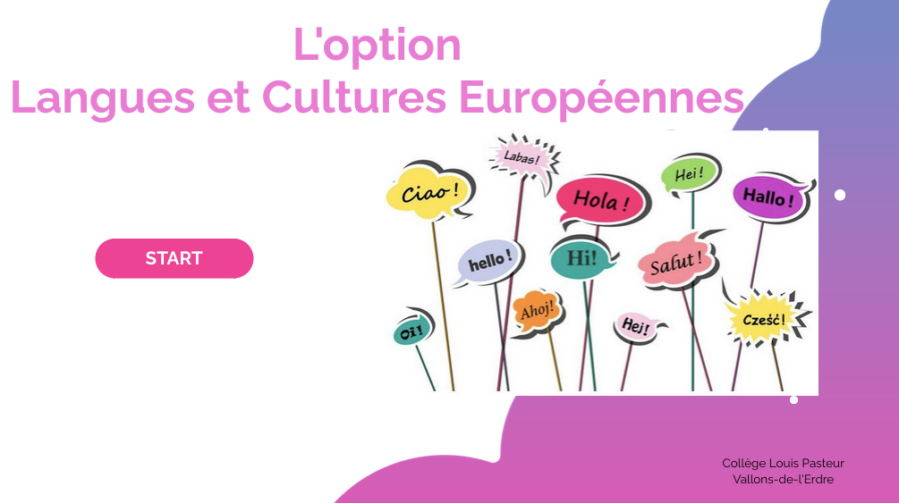 Présentation de l’option Langues et Cultures Européennes !